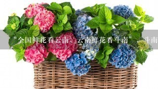 “全国鲜花看云南，云南鲜花看斗南”，斗南花市距昆明市区约18公里，是亚洲最大的鲜花交易市场，也是中国最大的花卉交易市场...