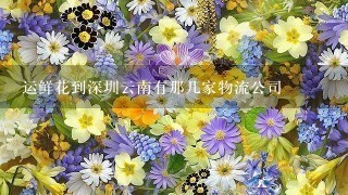 运鲜花到深圳云南有那几家物流公司