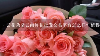 云花朵朵云南鲜花批发交易平台怎么样？值得选择吗？