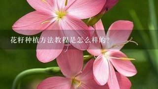 花籽种植方法教程是怎么样的？