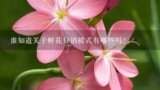 谁知道关于鲜花分销模式有哪些吗？