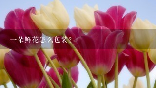 1朵鲜花怎么包装？