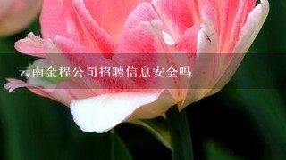 云南金程公司招聘信息安全吗