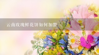 云南玫瑰鲜花饼如何加盟