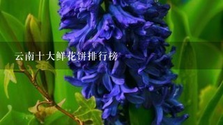 云南十大鲜花饼排行榜