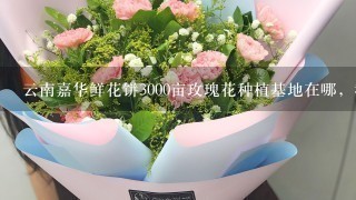 云南嘉华鲜花饼3000亩玫瑰花种植基地在哪，我在网上查了查大概在曲靖市马龙县，求具体位置，要离昆明