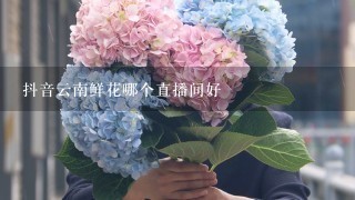 抖音云南鲜花哪个直播间好