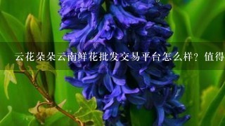 云花朵朵云南鲜花批发交易平台怎么样？值得选择吗？