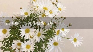 昆明哪里有鲜花批发市场?