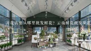 开花店要从哪里批发鲜花？云南鲜花批发渠道在哪里找？