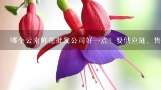 哪个云南鲜花批发公司好1点？要供应链、售后完善1点的