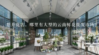 想开花店，哪里有大型的云南鲜花批发市场？