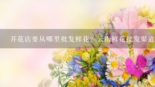 开花店要从哪里批发鲜花？云南鲜花批发渠道在哪里找？