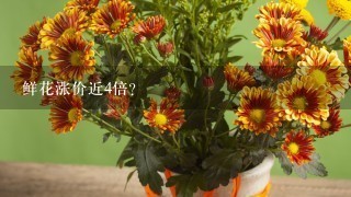 鲜花涨价近4倍？