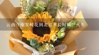 云南斗南发鲜花到北京多长时间？火车