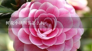 鲜花小镇图鉴怎么玩