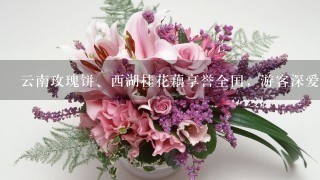 云南玫瑰饼、西湖桂花藕享誉全国，游客深爱的鲜花美