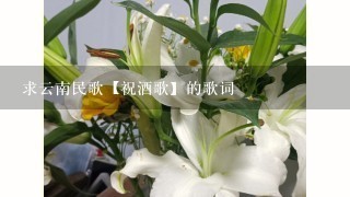 求云南民歌【祝酒歌】的歌词