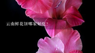 云南鲜花饼哪家好吃？