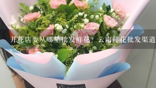 开花店要从哪里批发鲜花？云南鲜花批发渠道在哪里找？