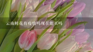 云南鲜花有疫情吗现在能买吗