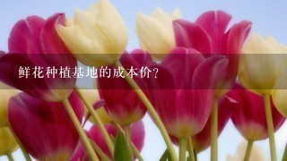 鲜花种植基地的成本价？