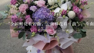 “全国鲜花看云南，云南鲜花看斗南”，斗南花市距昆明市区约18公里，是亚洲最大的鲜花交易市场，也是中国最大的花卉交易市场...