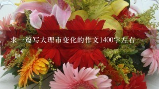 求1篇写大理市变化的作文1400字左右