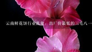 云南鲜花饼行业乱象：出厂价最低的3毛81个！影响