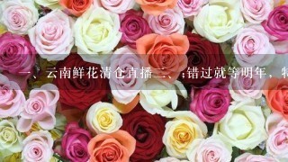 <br/>1、云南鲜花清仓直播<br/>2、;错过就等明年，特价花朵等你来捧场