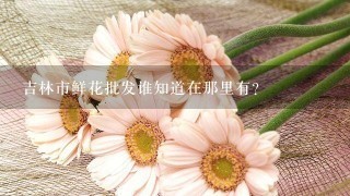 吉林市鲜花批发谁知道在那里有?