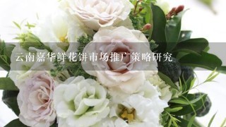 云南嘉华鲜花饼市场推广策略研究