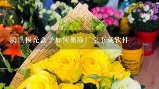 腾讯极光盒子如何删除厂家下载软件