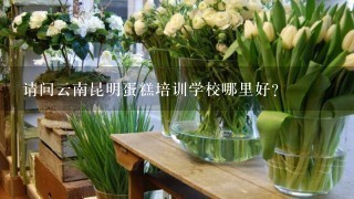 请问云南昆明蛋糕培训学校哪里好？