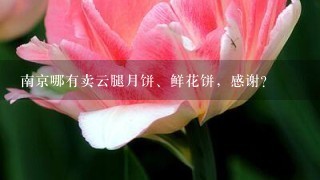 南京哪有卖云腿月饼、鲜花饼，感谢？