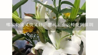 哪家物流又快又好，想从云南运鲜花到深圳