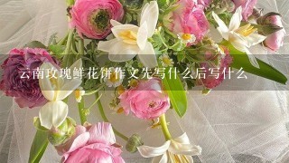 云南玫瑰鲜花饼作文先写什么后写什么