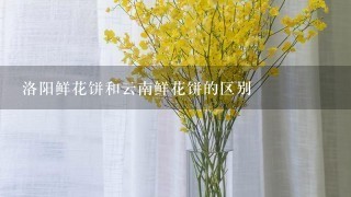 洛阳鲜花饼和云南鲜花饼的区别