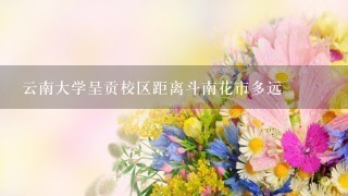 云南大学呈贡校区距离斗南花市多远