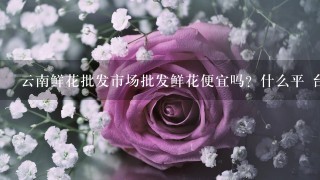 云南鲜花批发市场批发鲜花便宜吗？什么平 台好1点？