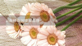 云南鲜花饼哪家品牌