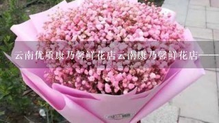 云南优质康乃馨鲜花店云南康乃馨鲜花店——让花语传递感动;优质康乃馨，用心传递情感；专业服务，让你花样满满！