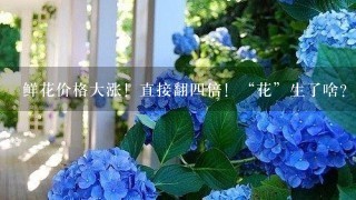 鲜花价格大涨！直接翻4倍！“花”生了啥？