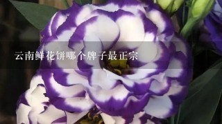 云南鲜花饼哪个牌子最正宗