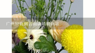 广州轻轨到云南曲靖轻轨站