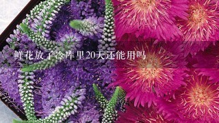 鲜花放了冷库里20天还能用吗