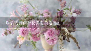 以后去云南种花卖有前途吗？