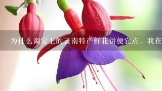 为什么淘宝上的云南特产鲜花饼便宜点，我在丽江古城买的鲜花饼40个饼却要100块？