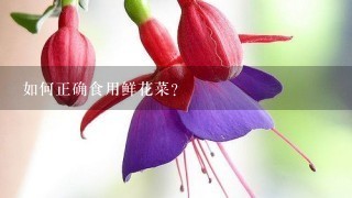 如何正确食用鲜花菜?