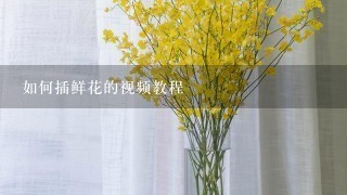 如何插鲜花的视频教程